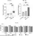 Fig. 118 - LIPID NANOPARTICLE (LNP) COMPOSITIONS FOR PLACENTA-SELECTIVE CARGO DELIVERY, AND METHODS OF USE THEREOF