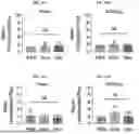 Fig. 120 - LIPID NANOPARTICLE (LNP) COMPOSITIONS FOR PLACENTA-SELECTIVE CARGO DELIVERY, AND METHODS OF USE THEREOF