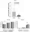 Fig. 123 - LIPID NANOPARTICLE (LNP) COMPOSITIONS FOR PLACENTA-SELECTIVE CARGO DELIVERY, AND METHODS OF USE THEREOF