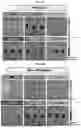 Fig. 95 - LIPID NANOPARTICLE (LNP) COMPOSITIONS FOR PLACENTA-SELECTIVE CARGO DELIVERY, AND METHODS OF USE THEREOF