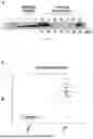 Fig. 08 - NANOLIPOSOME COMPOSITIONS AND METHODS OF USING THE SAME
