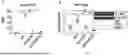 Fig. 15 - NANOLIPOSOME COMPOSITIONS AND METHODS OF USING THE SAME