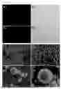 Fig. 16 - HOLLOW SPHERICAL PARTICLES