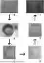 Fig. 01 - PRODUCT COMPRISING A FORM RETAINING GRANULAR COMPOSITION OF GEL PARTICLES, A METHOD OF MANUFACTURING THE SAME AND A PROCESS OF FORMING A GRANULAR SLURRY