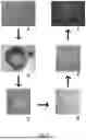 Fig. 03 - PRODUCT COMPRISING A FORM RETAINING GRANULAR COMPOSITION OF GEL PARTICLES, A METHOD OF MANUFACTURING THE SAME AND A PROCESS OF FORMING A GRANULAR SLURRY