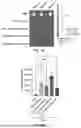 Fig. 30 - Lipid Nanoparticle Formulations for Central Nervous System Delivery