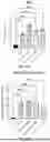 Fig. 33 - Lipid Nanoparticle Formulations for Central Nervous System Delivery