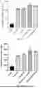 Fig. 36 - Lipid Nanoparticle Formulations for Central Nervous System Delivery