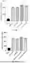 Fig. 38 - Lipid Nanoparticle Formulations for Central Nervous System Delivery