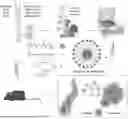 Fig. 01 - P-SELECTIN TARGETED NANOPARTICLES AND USES THEREOF