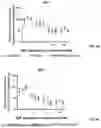 Fig. 17 - P-SELECTIN TARGETED NANOPARTICLES AND USES THEREOF