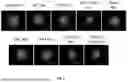Fig. 18 - P-SELECTIN TARGETED NANOPARTICLES AND USES THEREOF