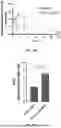 Fig. 24 - P-SELECTIN TARGETED NANOPARTICLES AND USES THEREOF