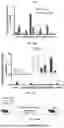 Fig. 25 - P-SELECTIN TARGETED NANOPARTICLES AND USES THEREOF