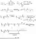 Fig. 40 - P-SELECTIN TARGETED NANOPARTICLES AND USES THEREOF