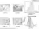 Fig. 42 - P-SELECTIN TARGETED NANOPARTICLES AND USES THEREOF