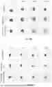 Fig. 43 - P-SELECTIN TARGETED NANOPARTICLES AND USES THEREOF