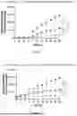 Fig. 44 - P-SELECTIN TARGETED NANOPARTICLES AND USES THEREOF