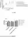 Fig. 50 - P-SELECTIN TARGETED NANOPARTICLES AND USES THEREOF