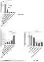 Fig. 55 - P-SELECTIN TARGETED NANOPARTICLES AND USES THEREOF