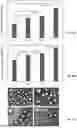 Fig. 56 - P-SELECTIN TARGETED NANOPARTICLES AND USES THEREOF