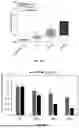 Fig. 64 - P-SELECTIN TARGETED NANOPARTICLES AND USES THEREOF