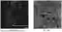 Fig. 67 - P-SELECTIN TARGETED NANOPARTICLES AND USES THEREOF