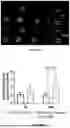 Fig. 75 - P-SELECTIN TARGETED NANOPARTICLES AND USES THEREOF