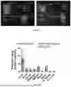 Fig. 76 - P-SELECTIN TARGETED NANOPARTICLES AND USES THEREOF