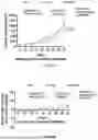 Fig. 78 - P-SELECTIN TARGETED NANOPARTICLES AND USES THEREOF