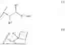Fig. 40 - PHARMACEUTICAL COMPOSITIONS AND ORAL DOSAGE FORMS OF KETAMINE DERIVATIVES