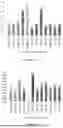 Fig. 03 - BIGUANIDE BASE COMPOSITIONS, BIGUANIDE BASE PHARMACEUTICAL COMPOSITIONS, AND THEIR PREPARATIONS AND USES