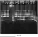 Fig. 05 - BIGUANIDE BASE COMPOSITIONS, BIGUANIDE BASE PHARMACEUTICAL COMPOSITIONS, AND THEIR PREPARATIONS AND USES