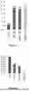 Fig. 06 - BIGUANIDE BASE COMPOSITIONS, BIGUANIDE BASE PHARMACEUTICAL COMPOSITIONS, AND THEIR PREPARATIONS AND USES