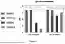 Fig. 08 - BIGUANIDE BASE COMPOSITIONS, BIGUANIDE BASE PHARMACEUTICAL COMPOSITIONS, AND THEIR PREPARATIONS AND USES
