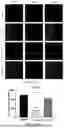Fig. 14 - USE OF PHENOLIC ACIDS DERIVATIVES IN TREATING ISCHEMIC STROKE