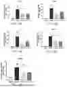 Fig. 15 - USE OF PHENOLIC ACIDS DERIVATIVES IN TREATING ISCHEMIC STROKE