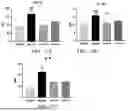 Fig. 16 - USE OF PHENOLIC ACIDS DERIVATIVES IN TREATING ISCHEMIC STROKE
