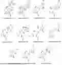 Fig. 01 - COMPOSITIONS AND METHODS OF TREATING RESPIRATORY SYNCYTIAL VIRUS