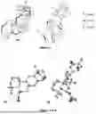 Fig. 06 - COMPOSITIONS AND METHODS OF TREATING RESPIRATORY SYNCYTIAL VIRUS