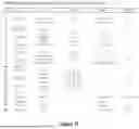 Fig. 74 - COMPOSITIONS AND METHODS OF TREATING RESPIRATORY SYNCYTIAL VIRUS