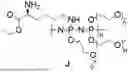 Fig. 01 - Polyphosphazene drug carriers