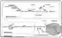 Fig. 01 - TREATING PRIMARY OR IDIOPATHIC HYPEROXALURIA WITH SMALL MOLECULE INHIBITORS OF LACTATE DEHYDROGENASE