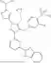 Fig. 123 - TREATING PRIMARY OR IDIOPATHIC HYPEROXALURIA WITH SMALL MOLECULE INHIBITORS OF LACTATE DEHYDROGENASE