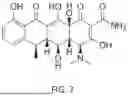 Fig. 03 - TRIPLE PHARMACEUTICAL COMPOSITION FOR PROTEINACEOUS INFECTION