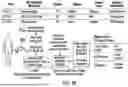 Fig. 05 - MDM2 DEGRADERS AND USES THEREOF