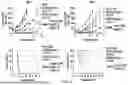 Fig. 11 - MDM2 DEGRADERS AND USES THEREOF