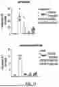 Fig. 14 - MDM2 DEGRADERS AND USES THEREOF
