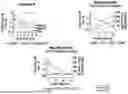 Fig. 16 - MDM2 DEGRADERS AND USES THEREOF