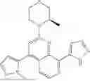 Fig. 12 - COMBINATION THERAPY FOR TREATING CANCER